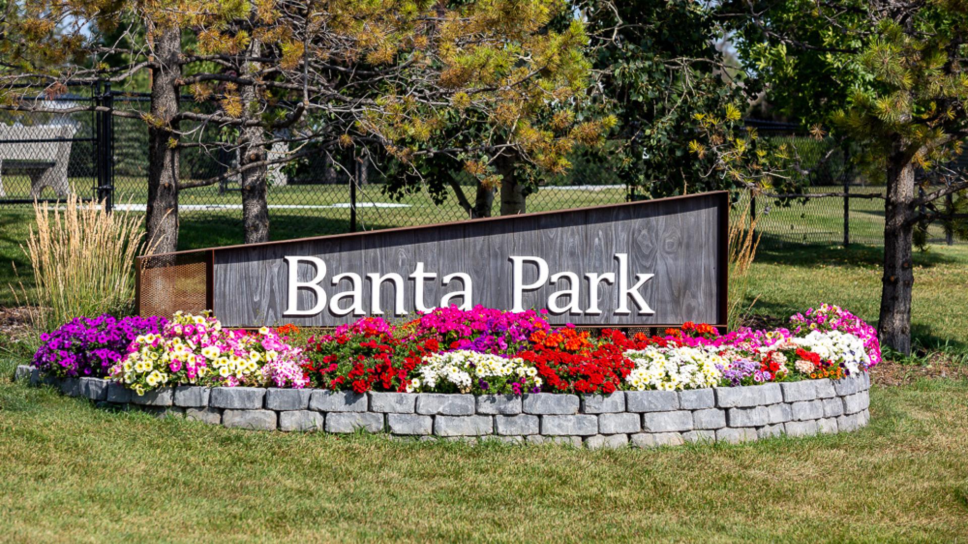 A wide, grassy park on a sunny day, with leafy trees framing the scene and a colorful playground with slides and swings in the distance, surrounded by nearby homes.