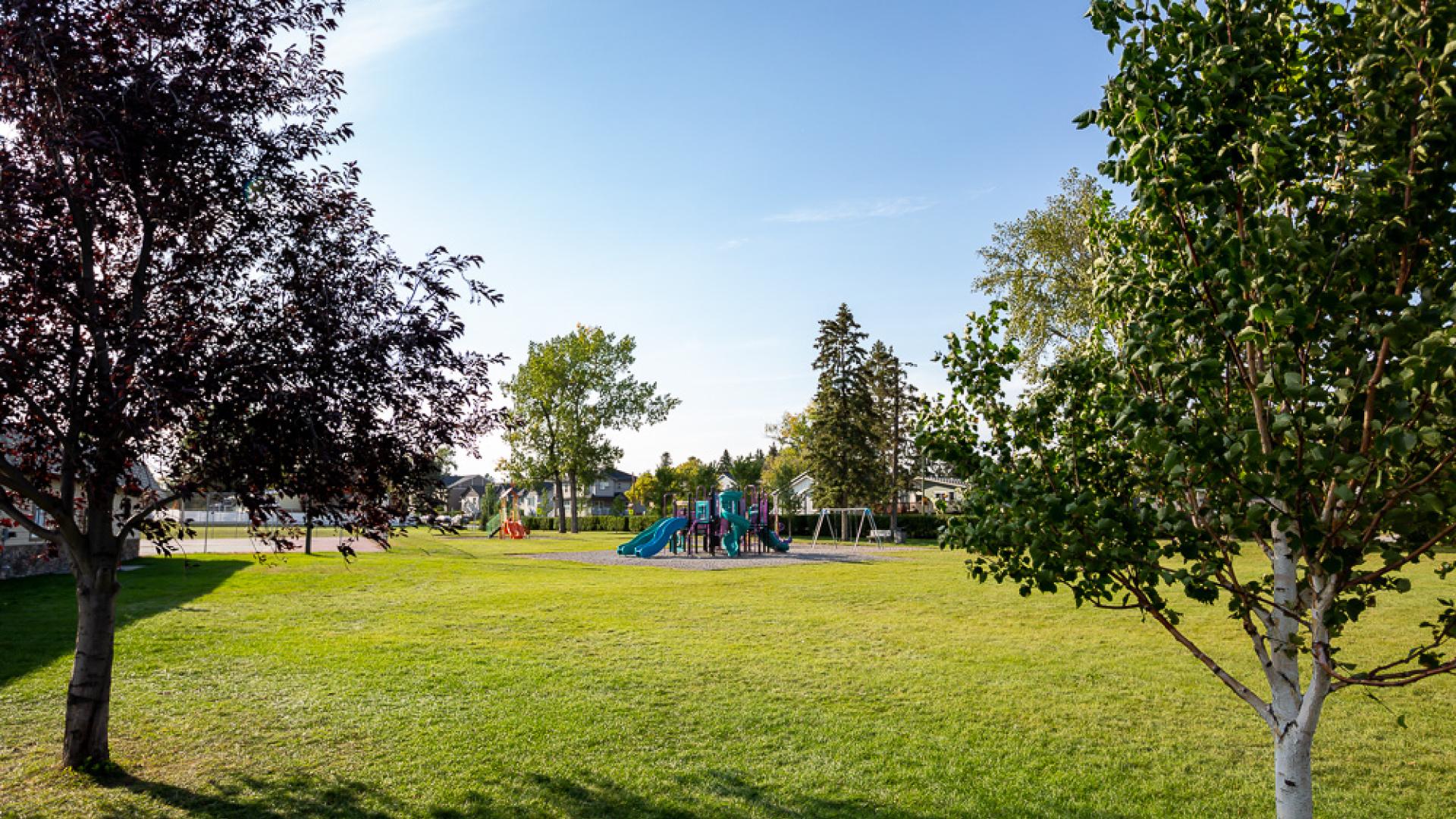 A wide, grassy park on a sunny day, with leafy trees framing the scene and a colorful playground with slides and swings in the distance, surrounded by nearby homes.