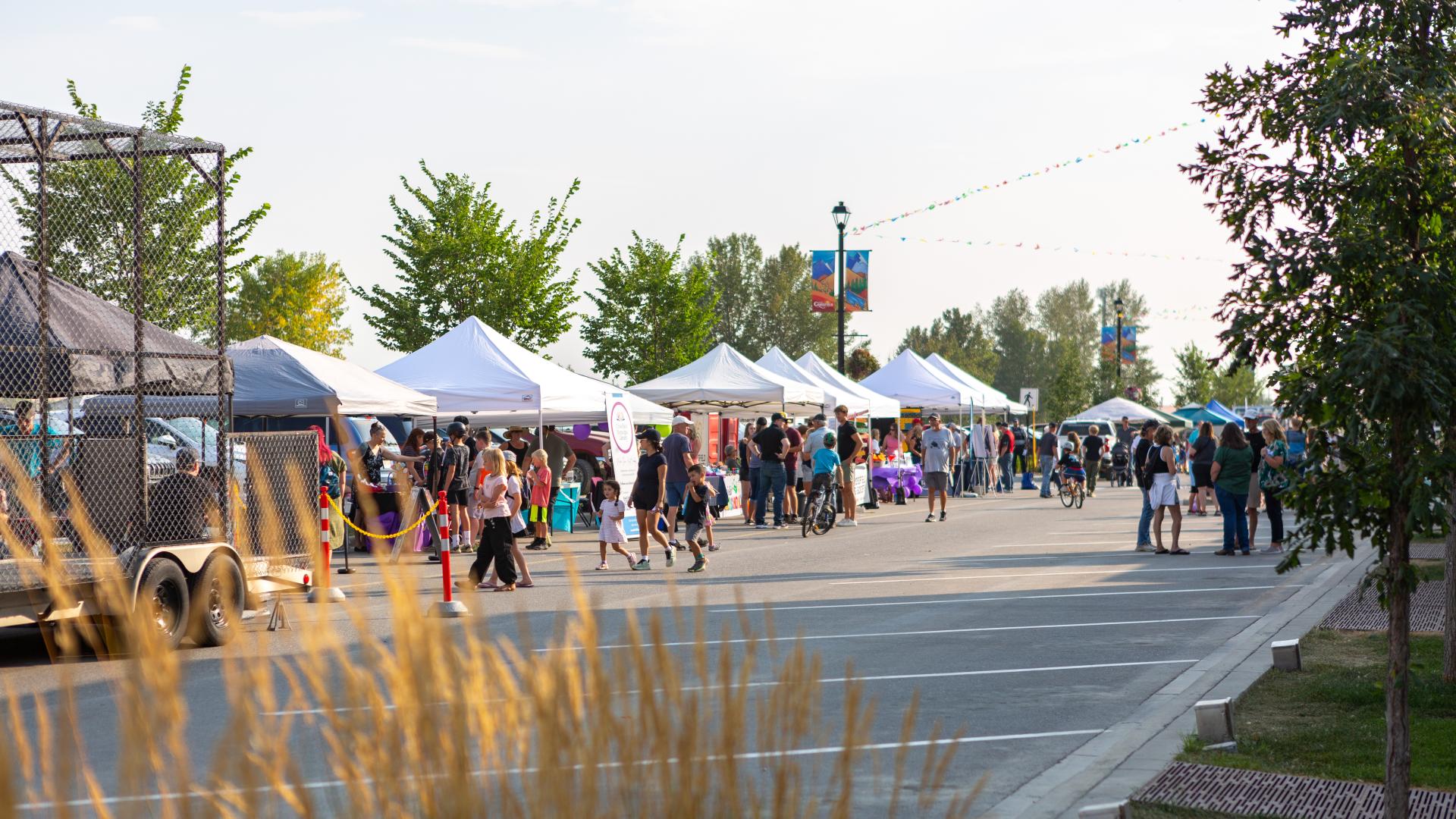 Railway Street During Community Fest