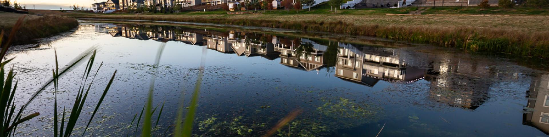 Overlooking a pond at a row of residential homes 